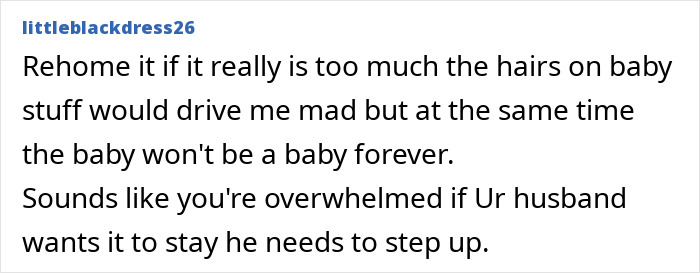 Comment discussing rehome cat due to overwhelming hair and need for husband to help with pet care. Comment discussing rehome cat due to overwhelming hair and need for husband to help with pet care.