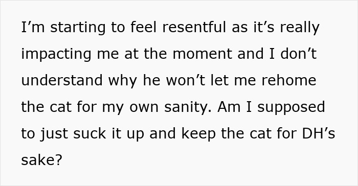 Person expressing frustration over partner refusing to let them rehome the cat affecting their sanity and well-being. Person expressing frustration over partner refusing to let them rehome the cat affecting their sanity and well-being.