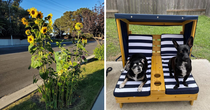 21 Of The Best Gardening Finds To Take Your Game To The Next Level