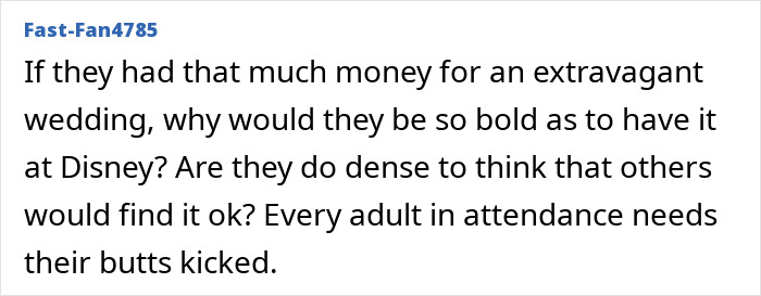 Comment from user Fast-Fan4785 expressing outrage over a disturbing Disneyland wedding involving a man with a criminal record. Comment from user Fast-Fan4785 expressing outrage over a disturbing Disneyland wedding involving a man with a criminal record.