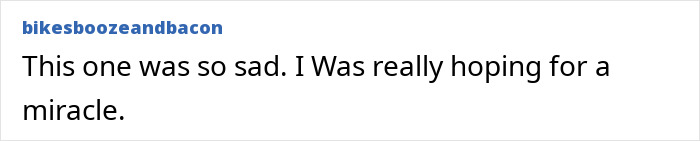 Comment expressing sadness and hope for a miracle related to tourist abandoned in active volcano incident. Comment expressing sadness and hope for a miracle related to tourist abandoned in active volcano incident.