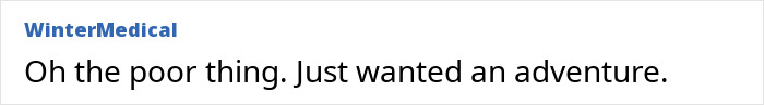 Comment expressing sympathy for tourist seeking adventure after being abandoned in active volcano incident. Comment expressing sympathy for tourist seeking adventure after being abandoned in active volcano incident.