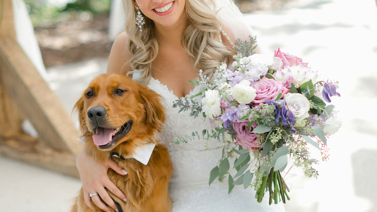Bride smiling in a wedding dress holding a bouquet and posing with a dog as pets replace kids at wedding ceremony