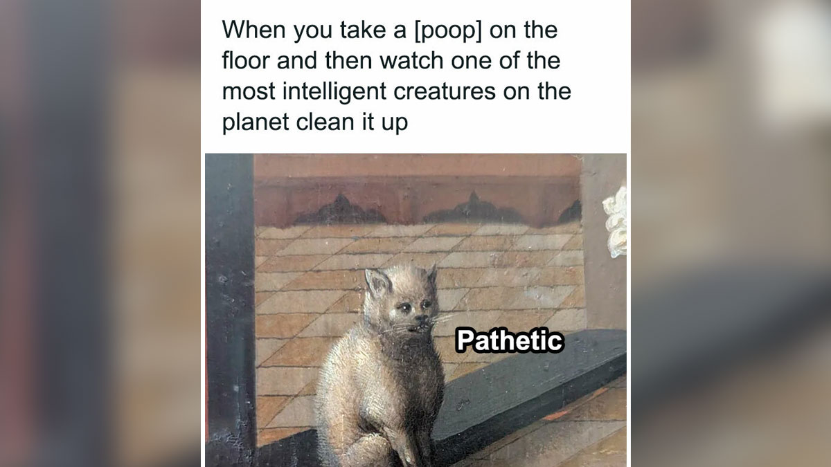 Classical art meme featuring a cat with the caption pathetic, highlighting chaotic classical art humor.