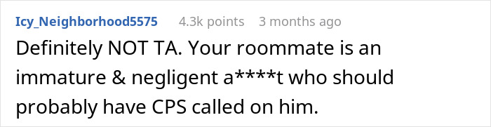 Comment from a user criticizing a negligent roommate after kids cause damage despite being asked to be looked after. Comment from a user criticizing a negligent roommate after kids cause damage despite being asked to be looked after.