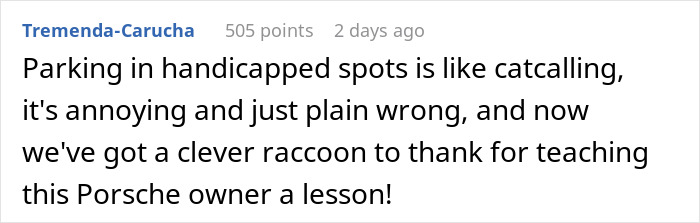 Comment criticizing Porsche owner parking across three handicap spots, mentioning a clever raccoon teaching a lesson. Comment criticizing Porsche owner parking across three handicap spots, mentioning a clever raccoon teaching a lesson.