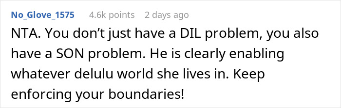 Reddit comment discussing a DIL and MIL relationship issue, focusing on family sticks together and enforcing boundaries. Reddit comment discussing a DIL and MIL relationship issue, focusing on family sticks together and enforcing boundaries.