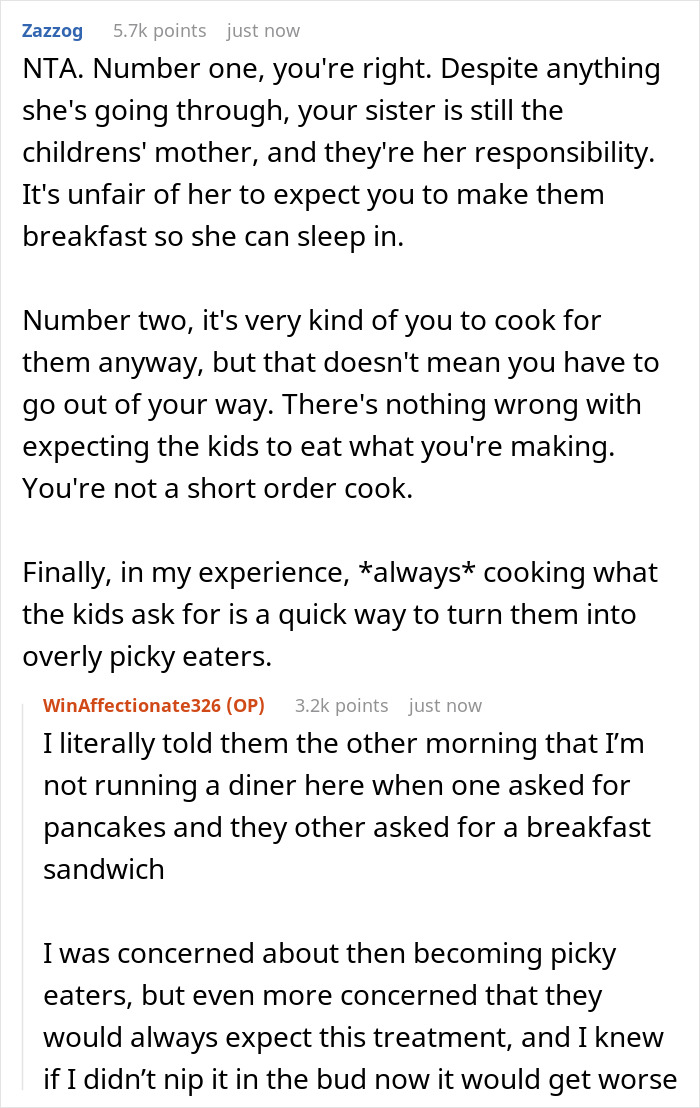 Screenshot of a discussion about a man playing chef for his sister’s kids while she sleeps, sharing opinions on responsibilities. Screenshot of a discussion about a man playing chef for his sister’s kids while she sleeps, sharing opinions on responsibilities.