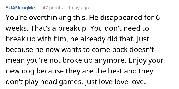 Comment discussing a man disappearing for weeks and his partner adopting a dog despite his allergies. Comment discussing a man disappearing for weeks and his partner adopting a dog despite his allergies.