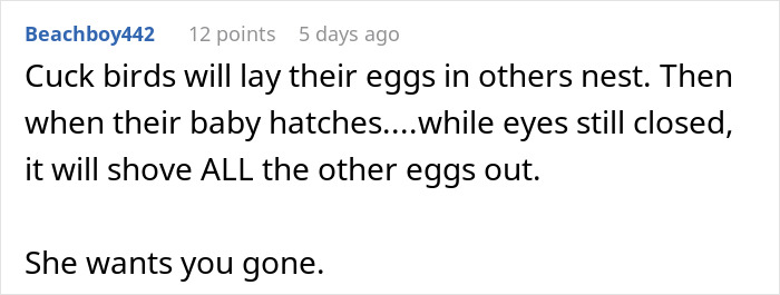 Comment explaining how cuck birds lay eggs in others' nests and suggesting someone is being pushed out. Comment explaining how cuck birds lay eggs in others' nests and suggesting someone is being pushed out.
