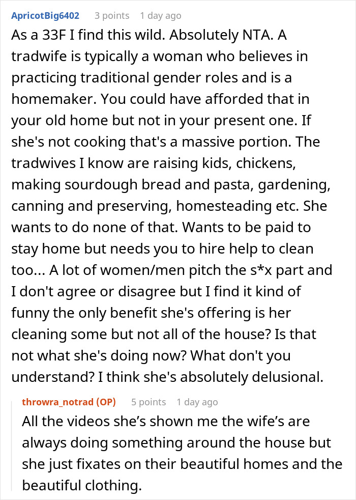Commenter discusses traditional gender roles and the expectations of being a tradwife in a homemaking context. Commenter discusses traditional gender roles and the expectations of being a tradwife in a homemaking context.