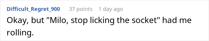 Comment on a forum thread, with username Difficult_Regret_900, sharing a humorous message about a cat named Milo licking a socket. Comment on a forum thread, with username Difficult_Regret_900, sharing a humorous message about a cat named Milo licking a socket.