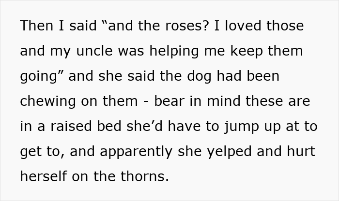 ALT text: Woman returns from vacation to find mother-in-law landscaped her garden without permission, causing issues with plants. ALT text: Woman returns from vacation to find mother-in-law landscaped her garden without permission, causing issues with plants.