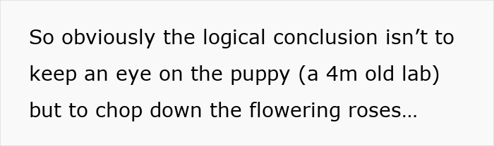 Text about a woman returning from vacation to find her mother-in-law landscaped her garden without permission. Text about a woman returning from vacation to find her mother-in-law landscaped her garden without permission.