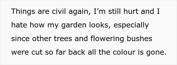 Woman upset returning from vacation to find MIL landscaped her garden, cutting trees and flowering bushes heavily. Woman upset returning from vacation to find MIL landscaped her garden, cutting trees and flowering bushes heavily.