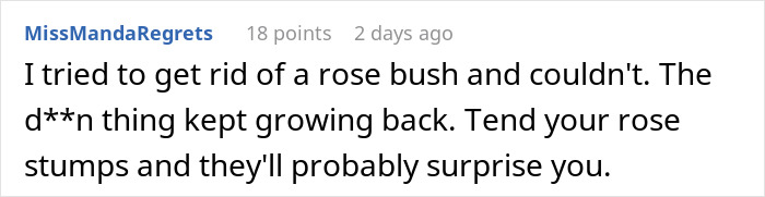 Woman returns from vacation to find mother-in-law landscaped her garden without permission, causing garden surprise. Woman returns from vacation to find mother-in-law landscaped her garden without permission, causing garden surprise.