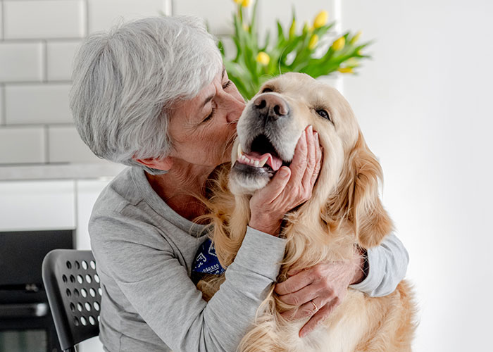 Older woman affectionately hugging a golden retriever indoors, highlighting a woman’s garden landscaped without permission. Older woman affectionately hugging a golden retriever indoors, highlighting a woman’s garden landscaped without permission.
