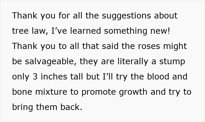Text on a white background about learning tree law and trying a blood and bone mixture to revive rose stumps in a garden. Text on a white background about learning tree law and trying a blood and bone mixture to revive rose stumps in a garden.
