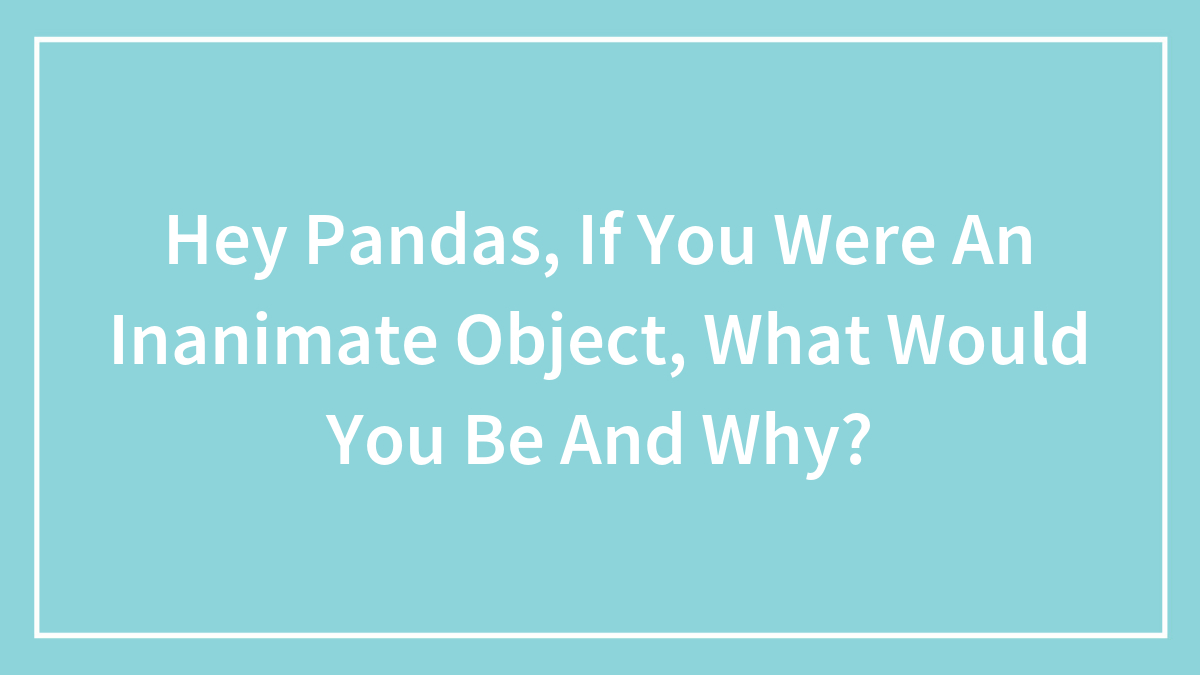Light blue background with white text asking pandas what inanimate object they would be and why in a simple framed design.