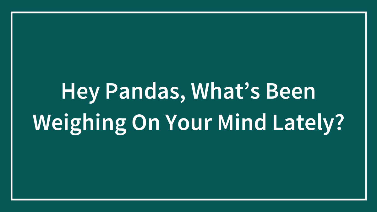 Text on teal background asking pandas what has been weighing on their mind lately, prompting thoughts and reflections.