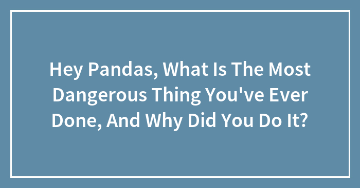 Hey Pandas, What Is The Most Dangerous Thing You’ve Ever Done, And Why Did You Do It? (Closed)