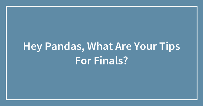 Hey Pandas, What Are Your Tips For Finals?