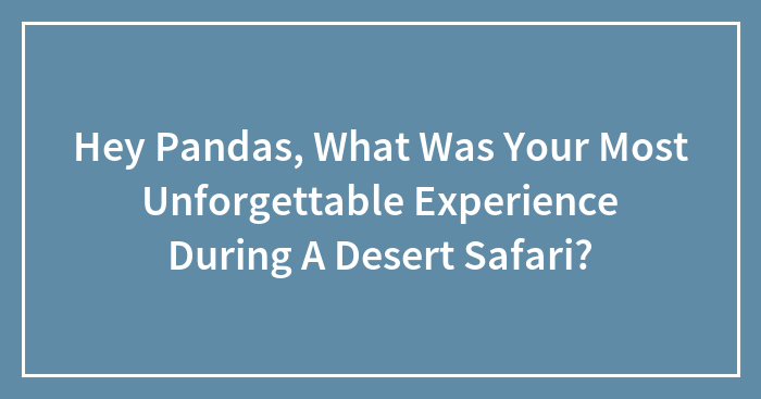 Hey Pandas, What Was Your Most Unforgettable Experience During A Desert Safari? (Closed)