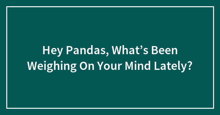 Hey Pandas, What’s Been Weighing On Your Mind Lately? (Closed)