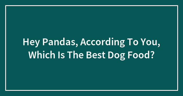Hey Pandas, According To You, Which Is The Best Dog Food? (Closed)