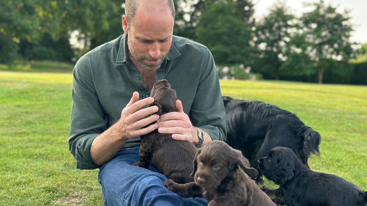 Prince William sitting on grass playing with cute puppies on his birthday, captured in an outdoor garden setting.