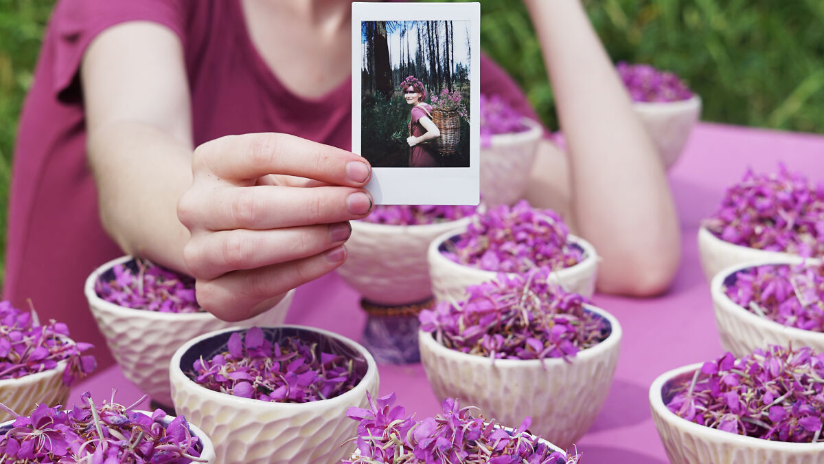 Person holding a photo among heirloom chalices filled with purple flowers, representing wildfire survivors' ashes.