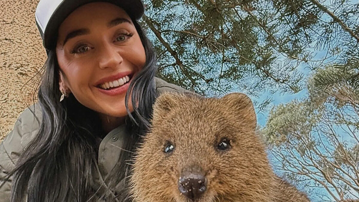Katy Perry smiling outdoors wearing a cap, posing closely with a quokka amid trees and clear sky background.