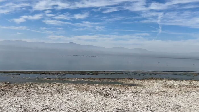 Desolate and eerie shoreline with foggy water, representing one of the creepy and chilling spots in the U.S.