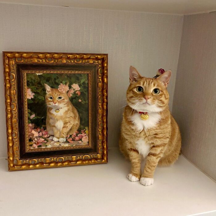Adorable orange tabby cat sitting next to a framed painted portrait of itself surrounded by flowers, cute pet pics.