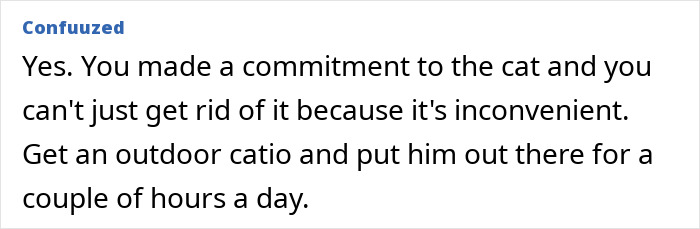 Comment explaining the importance of refusing to let rehome cat and suggesting using an outdoor catio instead for temporary outdoor time. Comment explaining the importance of refusing to let rehome cat and suggesting using an outdoor catio instead for temporary outdoor time.