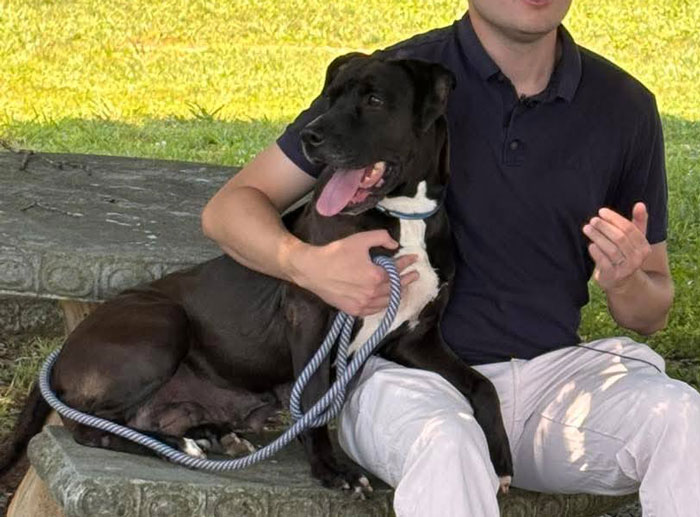 Shelter dog sitting beside man outdoors, showing calm loyalty and readiness to rescue before a seizure occurs. Shelter dog sitting beside man outdoors, showing calm loyalty and readiness to rescue before a seizure occurs.