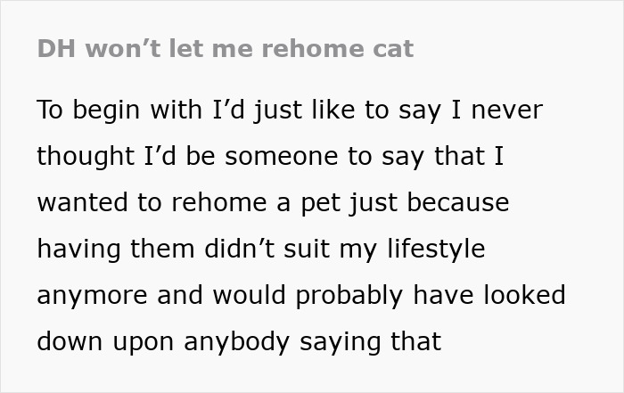 Refusing to let rehome cat due to lifestyle changes preventing pet care and concerns about others' opinions. Refusing to let rehome cat due to lifestyle changes preventing pet care and concerns about others' opinions.