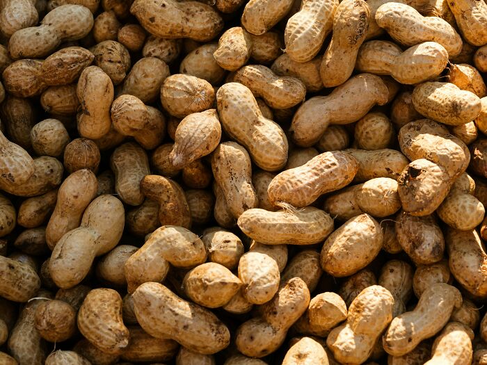 Close-up of whole peanuts in shells, a healthy choice among best processed foods for weight loss. Close-up of whole peanuts in shells, a healthy choice among best processed foods for weight loss.