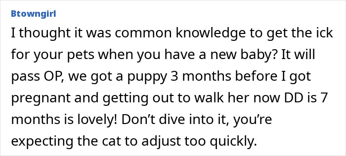 User sharing advice about refusing let rehome cat when introducing a new baby and adjusting pets slowly. User sharing advice about refusing let rehome cat when introducing a new baby and adjusting pets slowly.