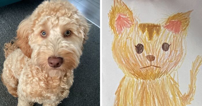 Curly light brown dog sitting beside a childu2019s drawing of a cat with similar fur color and big ears.