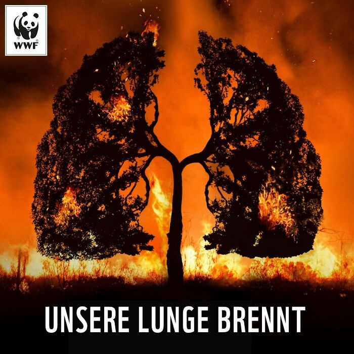 Burning tree shaped like human lungs engulfed in flames in a powerful WWF ad about environmental destruction and air pollution.