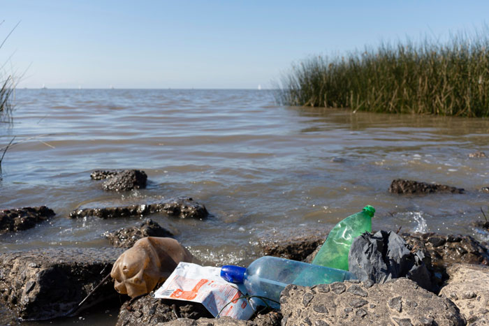 Plastic waste on lake shore with water in the background, highlighting pollution and forever chemicals impact on body health. Plastic waste on lake shore with water in the background, highlighting pollution and forever chemicals impact on body health.