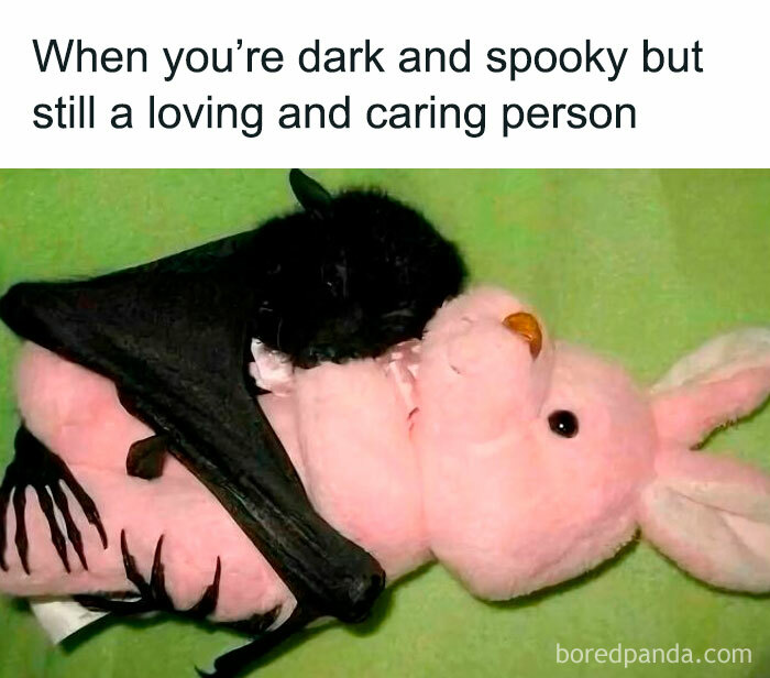 Funny meme showing a black bat hugging a pink stuffed bunny, representing caring despite a dark and spooky vibe. Funny meme showing a black bat hugging a pink stuffed bunny, representing caring despite a dark and spooky vibe.