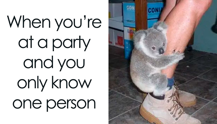 Laugh Out Loud With These 50 Spot-On Memes That Perfectly Sum Up Everyday Life As An Introvert