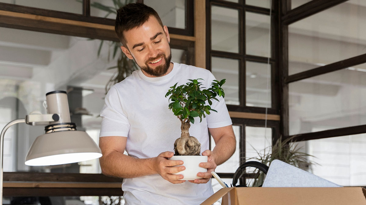 Male colleague smiling while holding a small potted plant as a gift in a modern office space.