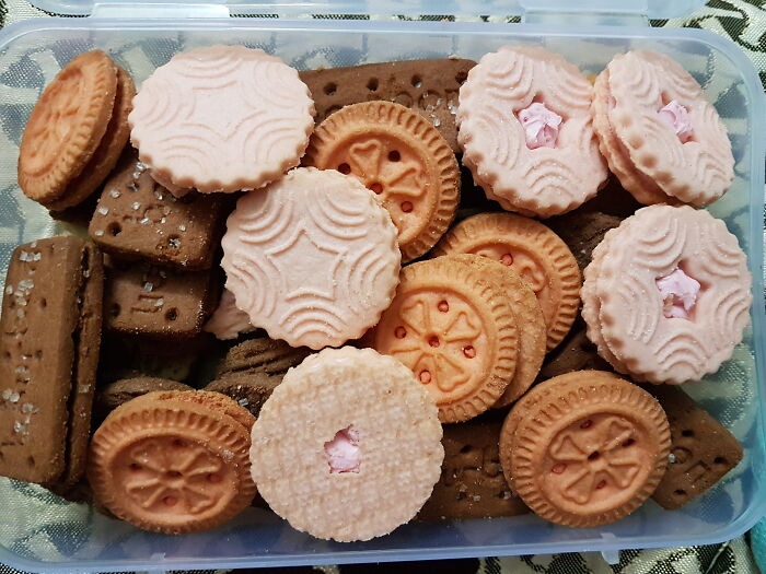 Assorted cookies in a plastic container representing a simple reward after spending just a dollar.