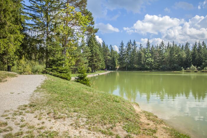 A peaceful lakeside path surrounded by trees under a blue sky, highlighting local dangers in everyday nature settings.