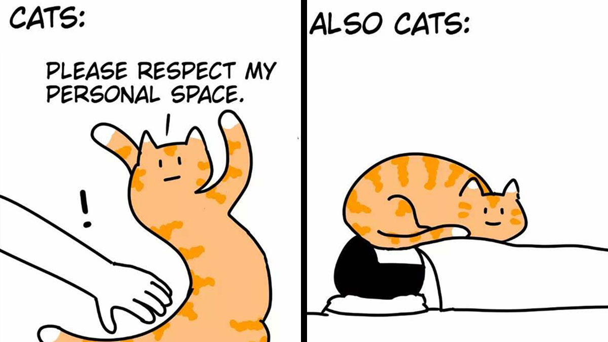 Comic panels showing hilariously relatable cats demanding personal space, then contradicting with absurd behavior and twists.