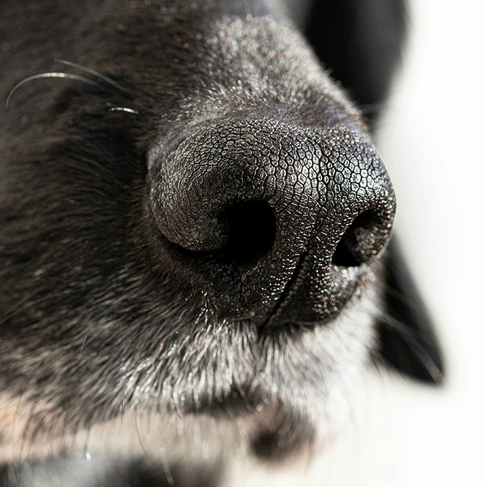 50 Fascinating “Today I Learned” Posts That Might Leave You Questioning Reality (June Edition)