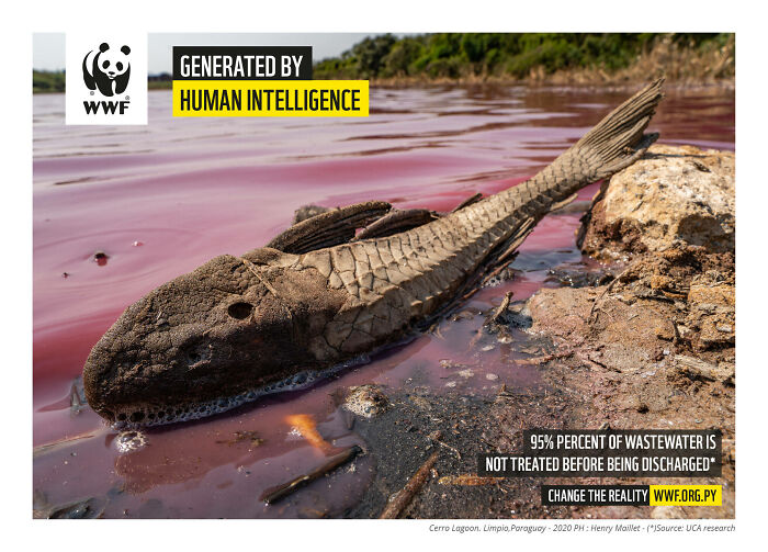 Dead fish lying on polluted red water near the shore, highlighting environmental damage in a powerful WWF ad.